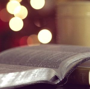 Meet your Posher, Benjamin